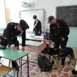 Indica Sativa: l’annuale fiera della canapa a Bologna