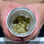 Il 24% degli italiani fa uso di CBD