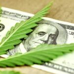 Big Pharma perde miliardi grazie alla legalizzazione