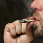 Approvato un ordine del giorno sulla legalizzazione della cannabis dal Consiglio comunale di Milano