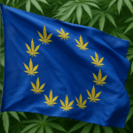 La Francia dice sì alla cannabis medica