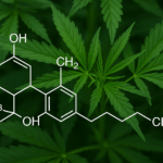 Neuro-Gastro Cannabinologia