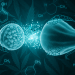 Cannabigerolo (CBG): padre di tutti i cannabinoidi
