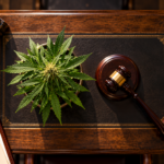 Texas, mezzo milione dall’alcol al politico che ostacola la cannabis: il caso Ken Paxton
